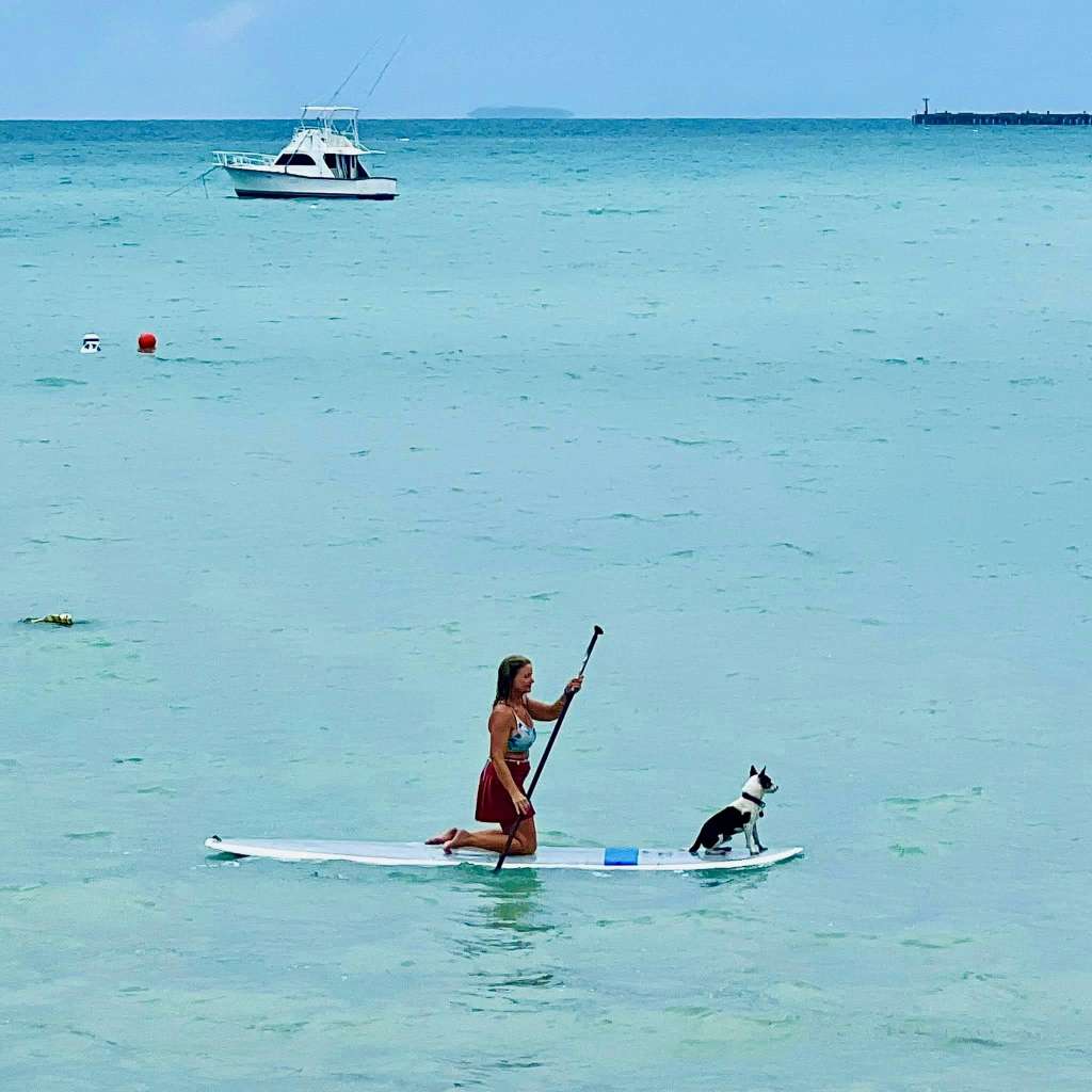 February 8-15 2026 at Passionflower de Santa Maria Healing Arts Center in Vieques, Puerto Rico